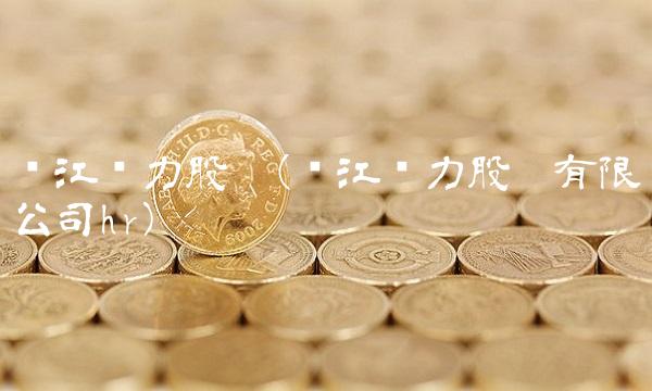 长江电力股份(长江电力股份有限公司hr)