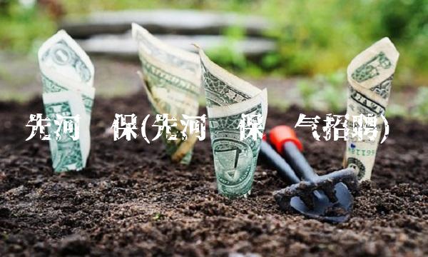 先河环保(先河环保电气招聘)