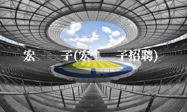 宏达电子(宏达电子招聘)