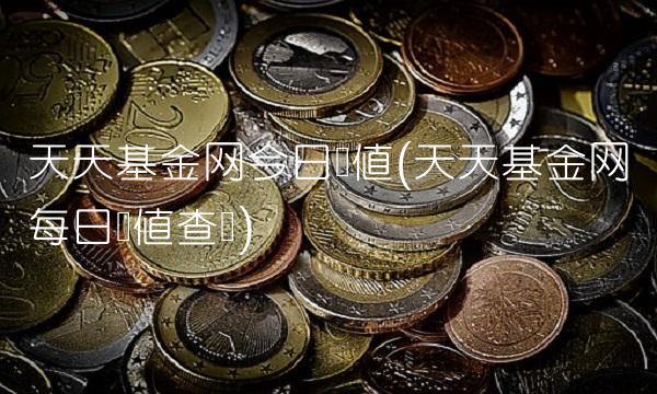 天天基金网今日净值(天天基金网每日净值查询)