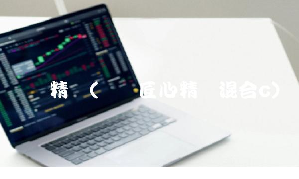 鹏华精选(鹏华匠心精选混合c)