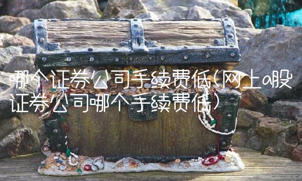 哪个证券公司手续费低(网上a股证券公司哪个手续费低)