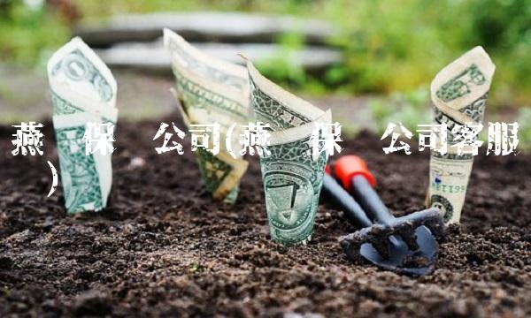 燕赵保险公司(燕赵保险公司客服电话)