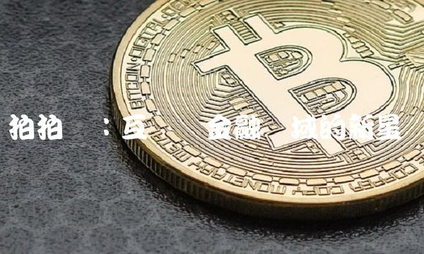 拍拍贷：互联网金融领域的新星