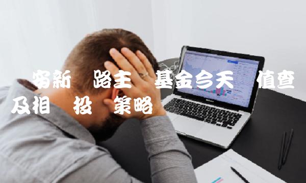 华安新丝路主题基金今天净值查询及相关投资策略
