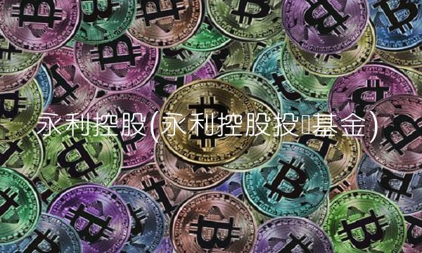 永利控股(永利控股投资基金)
