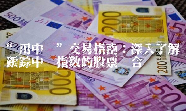 用中证交易指南：深入了解跟踪中证指数的股票组合
