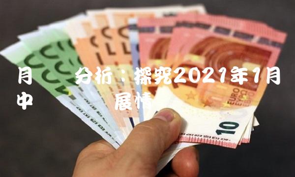 月数据分析：探究2021年1月中国经济发展情况