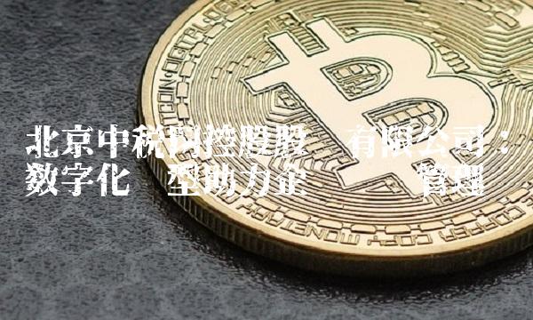 北京中税网控股股份有限公司：数字化转型助力企业财务管理