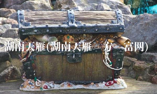 湖南天雁(湖南天雁东方财富网)