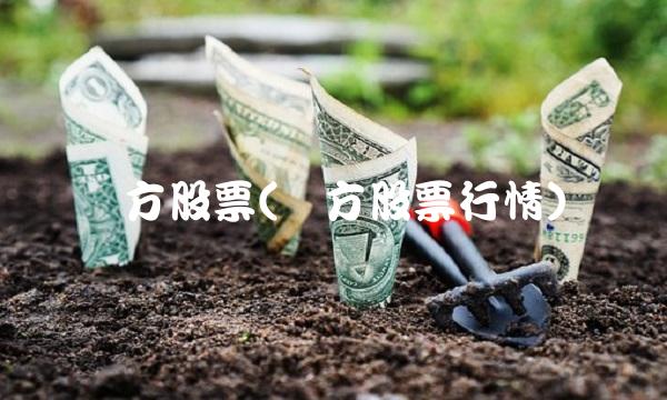 东方股票(东方股票行情)