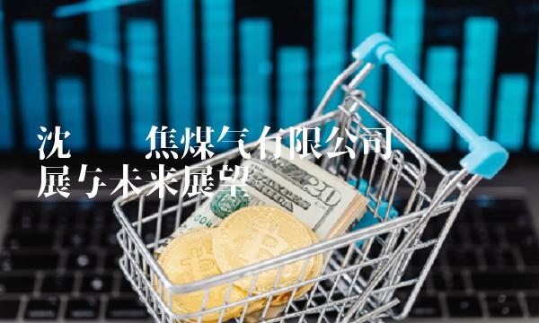 沈阳炼焦煤气有限公司——产业发展与未来展望