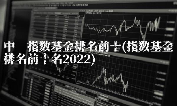 中证指数基金排名前十(指数基金排名前十名2022)