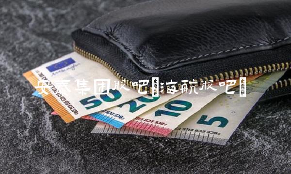 安泰集团股吧(海航股吧) 安泰集团股吧(海航股吧)