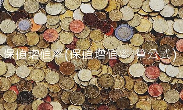 保值增值率(保值增值率计算公式)