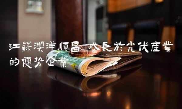 江苏澳洋顺昌：成长于光伏产业的优势企业