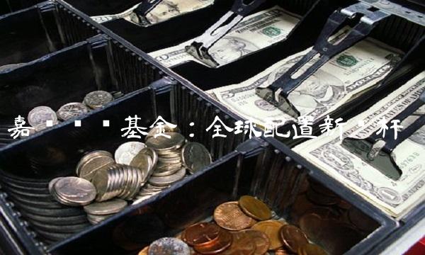 嘉实优质基金：全球配置新标杆