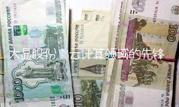 大显股份：云计算领域的先锋