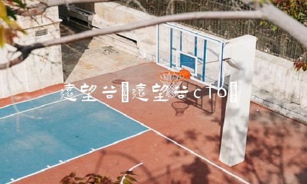 远望谷(远望谷cfo)(1)