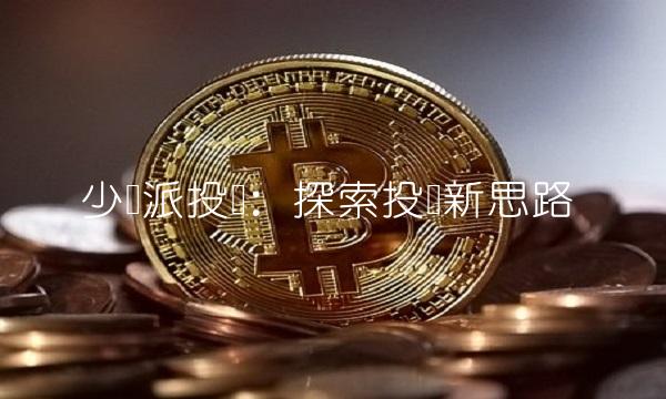 少薮派投资：探索投资新思路