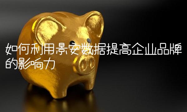 如何利用景安数据提高企业品牌的影响力