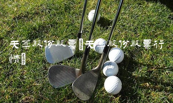 天药股份股票(天药股份股票行情) 天药股份股票(天药股份股票行情)