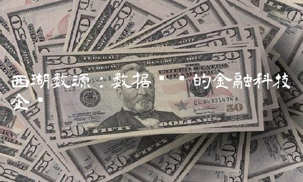 西湖数源：数据驱动的金融科技企业