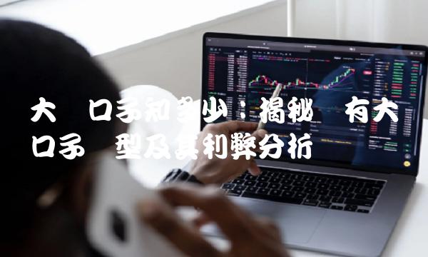 大额口子知多少：揭秘现有大额口子类型及其利弊分析