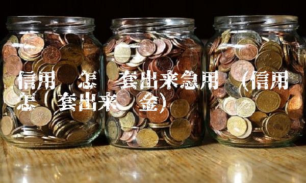 信用卡怎么套出来急用钱(信用卡怎么套出来现金)(1)