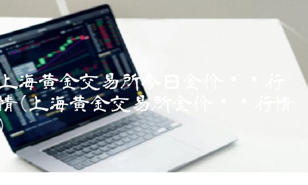 上海黄金交易所今日金价实时行情(上海黄金交易所金价实时行情)