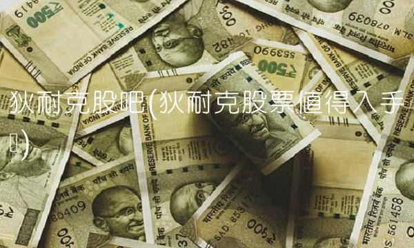 狄耐克股吧(狄耐克股票值得入手吗)