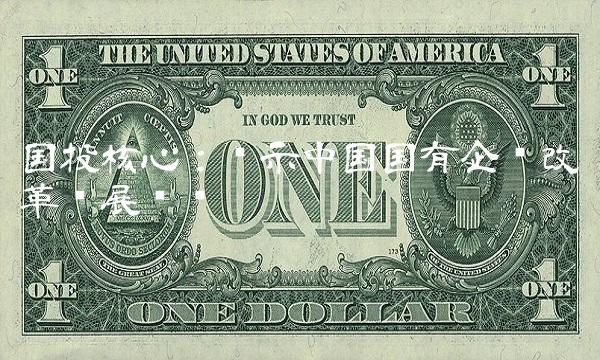 国投核心：揭示中国国有企业改革发展趋势