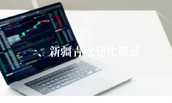 一、新疆青松建化概述