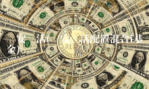 诺安灵活(诺安灵活配置混合i基金)