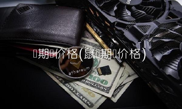 币期货价格(鼠币期货价格)