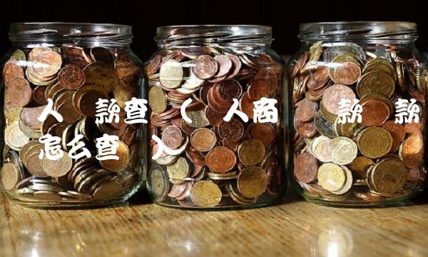 个人贷款查询(个人商业贷款贷款账号怎么查询)