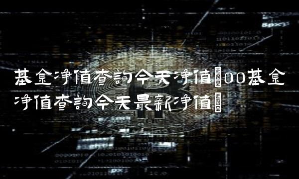 基金净值查询今天净值(00基金净值查询今天最新净值)