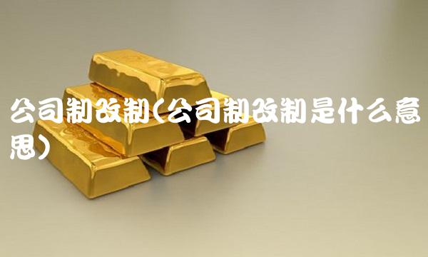 公司制改制(公司制改制是什么意思)