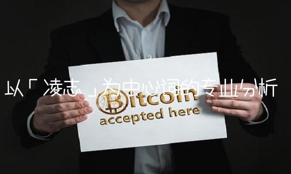 以「凌志」为中心词的专业分析