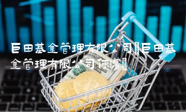 巨田基金管理有限公司(巨田基金管理有限公司何滨)