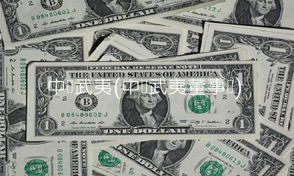 中国武夷(中国武夷董事长)