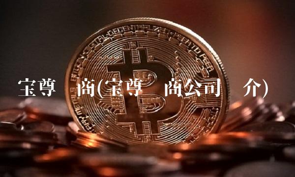 宝尊电商(宝尊电商公司简介)