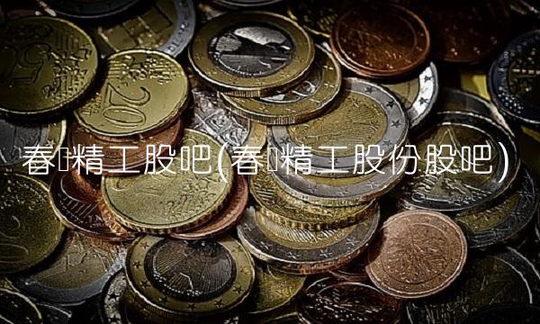 春兴精工股吧(春兴精工股份股吧)(1)