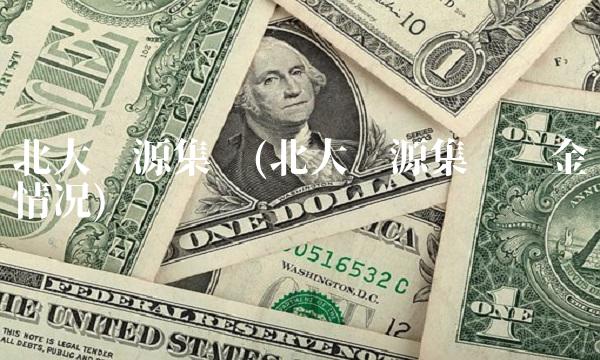 北大资源集团(北大资源集团资金情况)