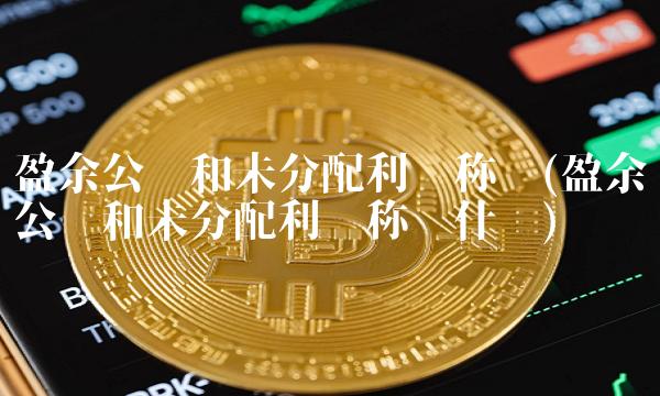 盈余公积和未分配利润称为(盈余公积和未分配利润称为什么)