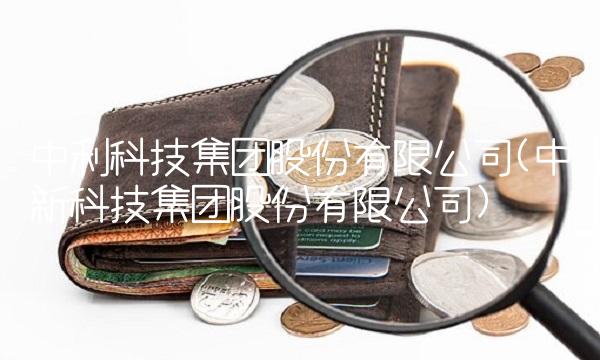中利科技集团股份有限公司(中新科技集团股份有限公司)