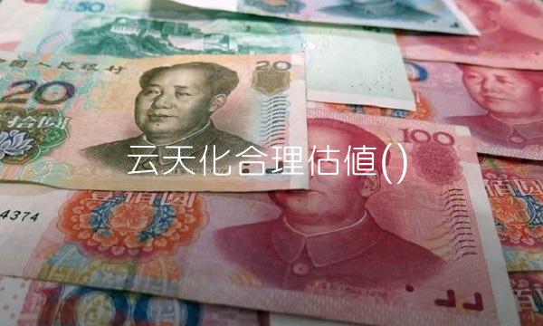 云天化合理估值()