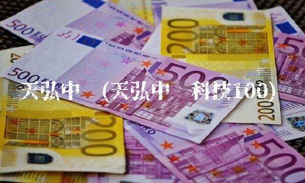 天弘中证(天弘中证科技100)