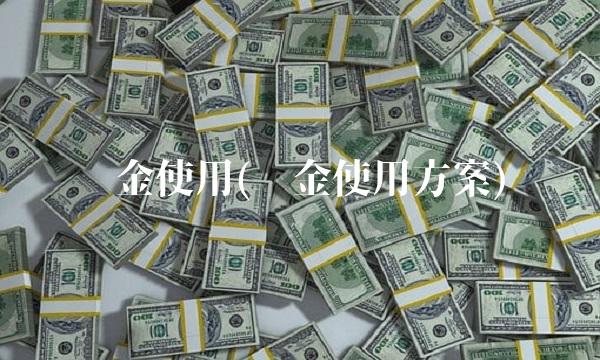 资金使用(资金使用方案)