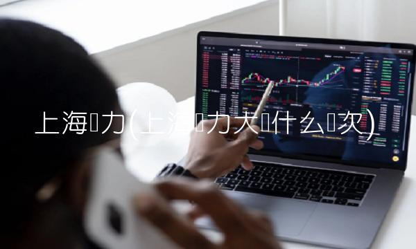 上海电力(上海电力大学什么档次)